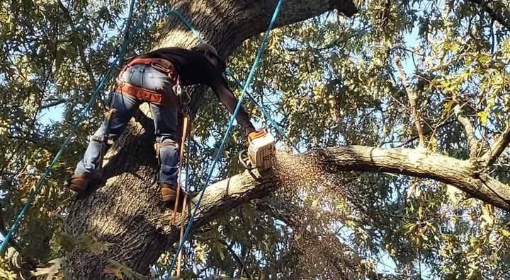 00l0l_3euCySjQzTD_0bC06o_1200x900