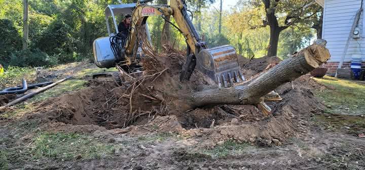 00A0A_1BjXzdOTrfi_0bC05q_1200x900