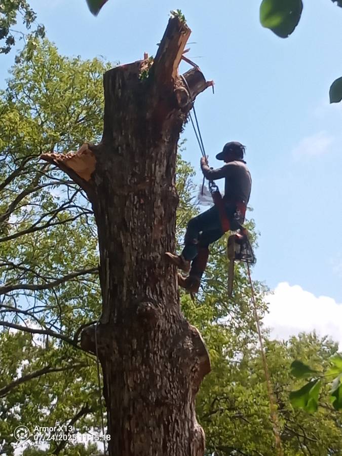 00O0O_5ElohEAtnt9_0lM0t2_1200x900