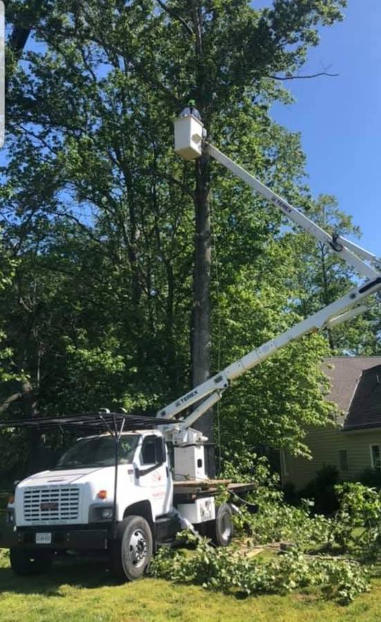 00g0g_isoCzLOOL7H_0bC0iW_1200x900