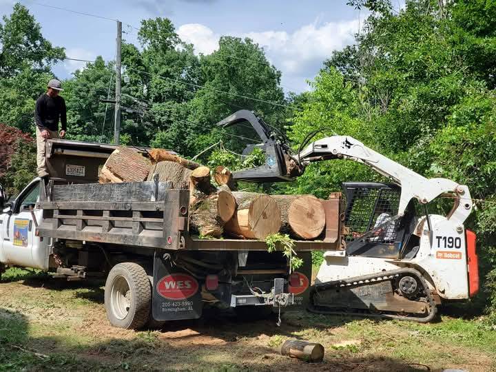 00t0t_9Fr3cjhznX5_0bC08I_1200x900