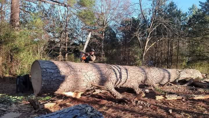 IMG_20251027_162204 (1)